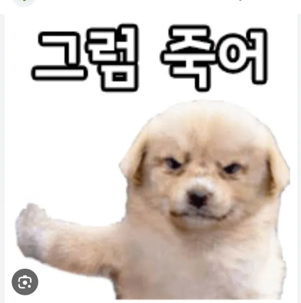 https://dnqpn1q26kubc.cloudfront.net/1739633019787-ê·¸ë¼ì£½ì´.webp